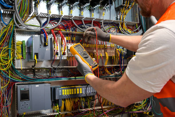 Best Electric Panel Repair  in Sneedville, TN